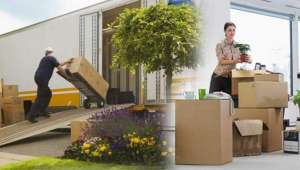 Mudança de São Paulo para Brumado Bahia