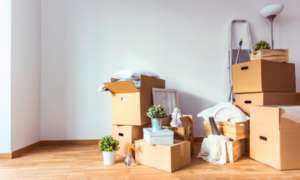 Mudança SP para Salvador