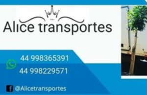 Alice Transportes e Mudanças