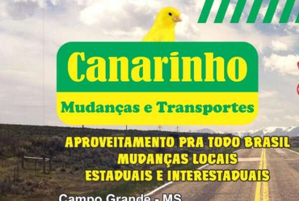 Canarinho Mudanças Campo Grande