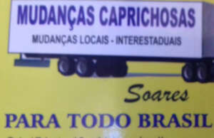 Caprichosa Mudanças Brasília